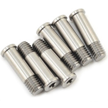 Stainless Steel Shaft Screw